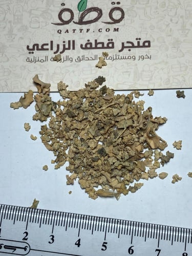 بذور عشبة الرغل الرعوية بالوزن