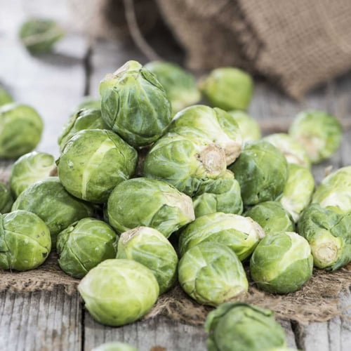 بذور ملفوف كرنب بروكسل