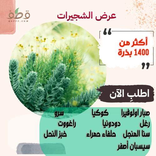 عرض مجموعة من بذور الشجيرات