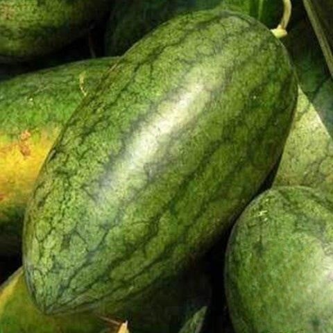 بذور بطيخ الكونغو العملاق