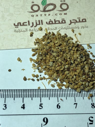 بذور عشبة النفل البري المداد