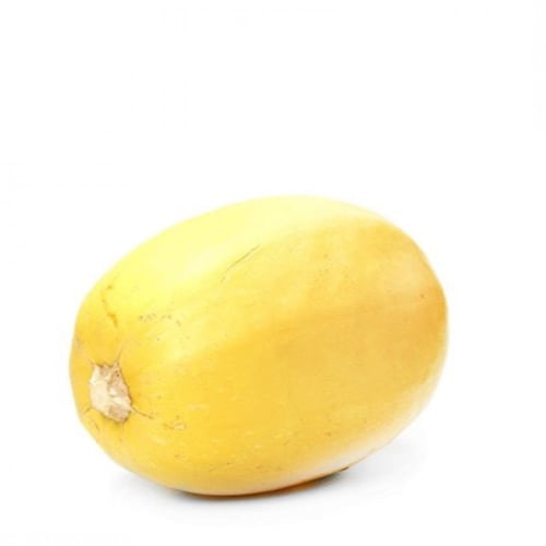 بذور قرع المكرونة الصفراء