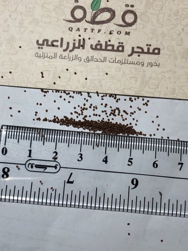 جملة بذور الرقروق المغذية للكمأة أو الفقع