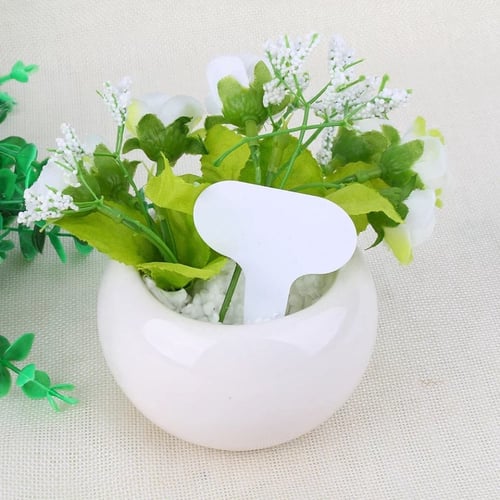 5 قطع علامة بلاستيك ( تاق ) لكتابة أسماء النبات