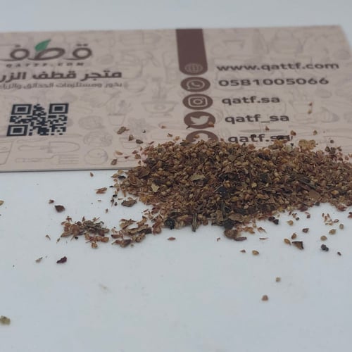 بذور فرشاة الزجاج