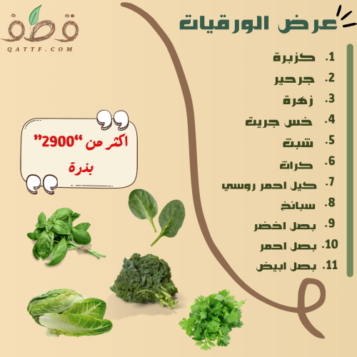 عرض بذور الورقيات