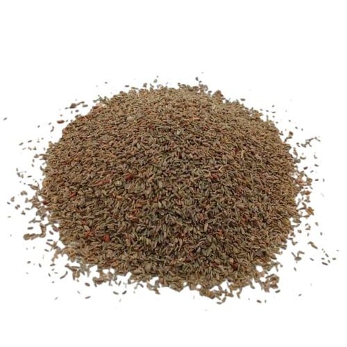 بذور عشبة الخلة البلدي