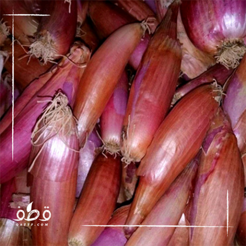 بذور البصل الحساوي