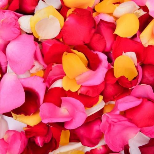 ورد منثور ( رش ) طبيعي Qq008