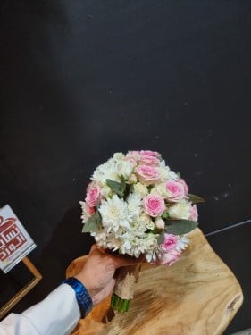 مسكة عروس شامل اللوقو 0887