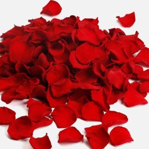 ورد منثور ( رش ) طبيعي Qq009