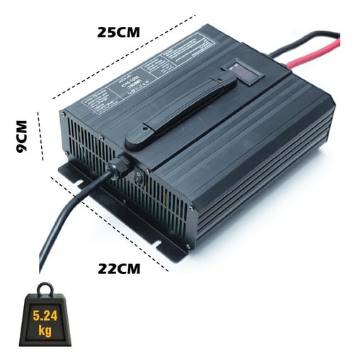 شاحن بطارية ليثيوم 100 امبير