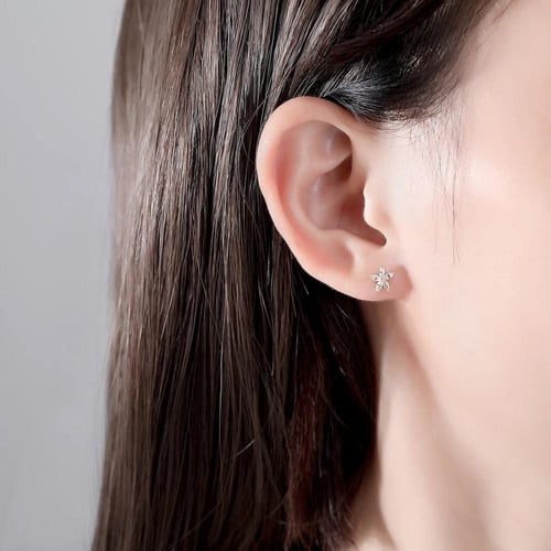 حلق أنيق فضي - 0627