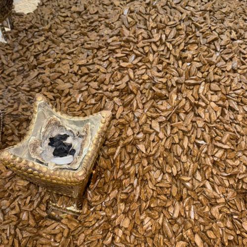 دقة مروكي طبيعي محسن فاخر