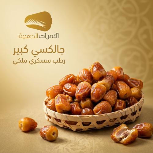 جالكسي كبير (1.5 كيلو)