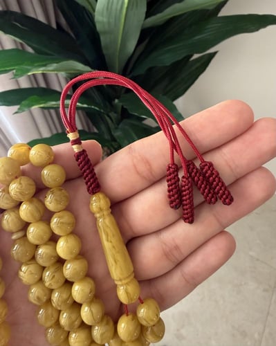 بكلايت بشكة تفصال