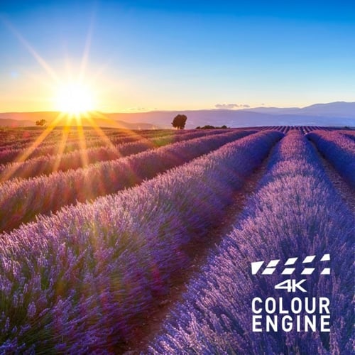 شاشة باناسونيك 55 بوصة سمارت 4K HDR اندرويد TH-55H...