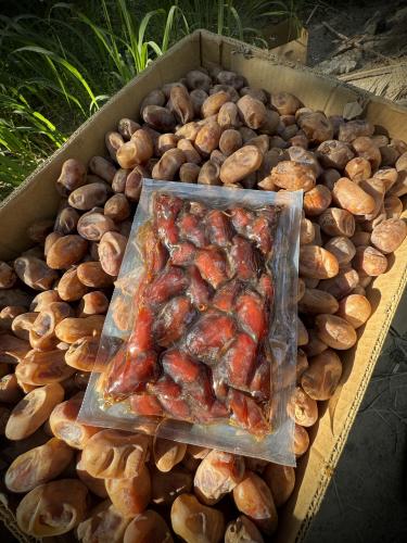 تمر خلاص المطيرفي - سبشل - 4 كيلو، 8 أكياس، انتاج...