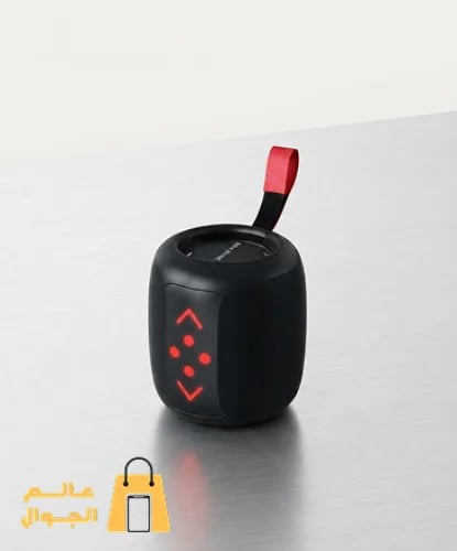 مكبر صوت لاسلكي محمول 10W