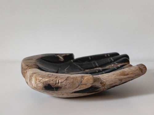 طبق مجوهرات - خشب أحفوري