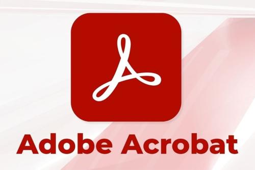 acrobat pro