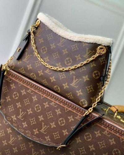 شنطه نسائيه—LV