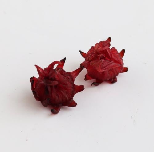 زهرة الكركدية