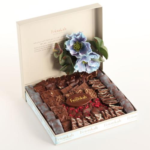 بيبي فيونكة ( أولاد )