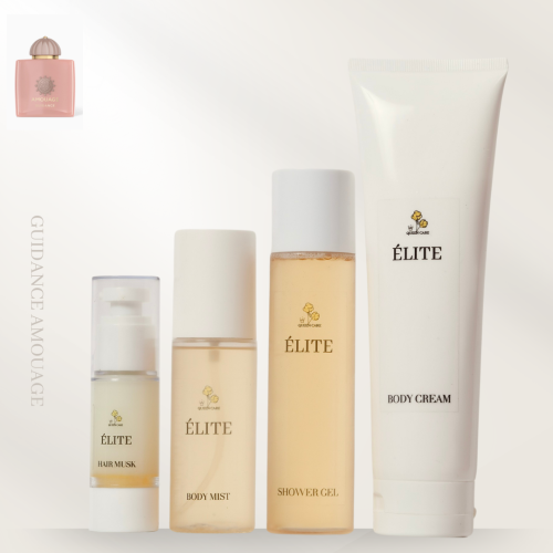 مجموعة إيليت -Guidance