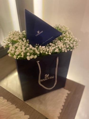 تنسيق جيبسوفيليا