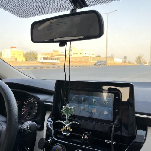 تعليقة سيفين و نخله