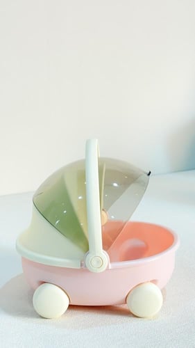 4 عربة المهد للتنظيم