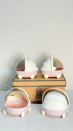 4 عربة المهد للتنظيم