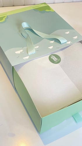 بكج المنطاد بيج