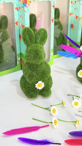 6 نبتة الأرنب