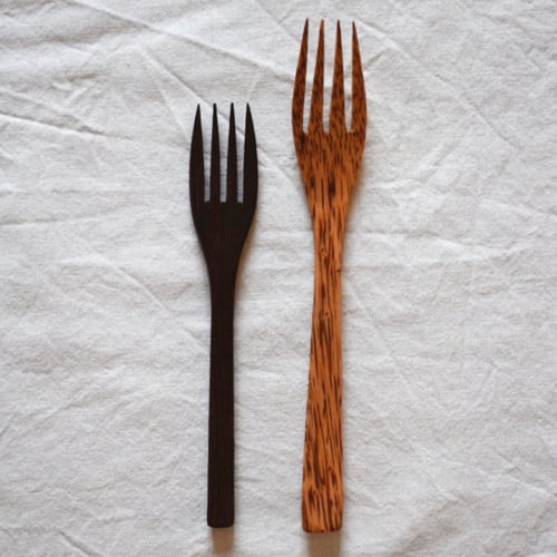 شوكة جوز الهند