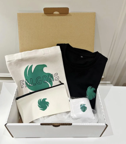 بوكس فالكونز