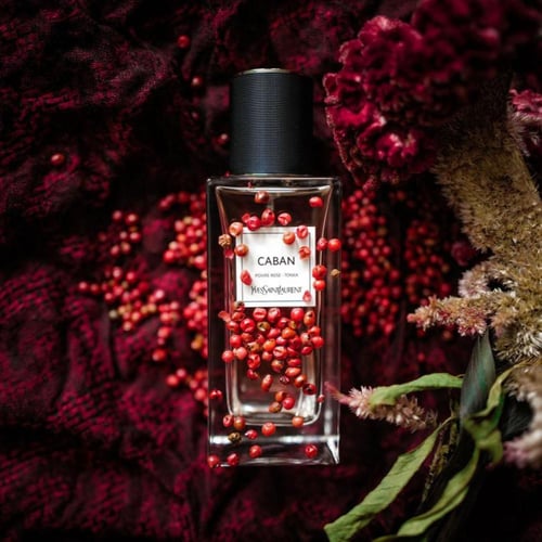 عطر كابان روز تونكا من سان لوران او دو بارفيوم 125...