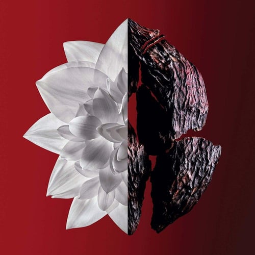 عطر جيفنشي لانتيردي روج اولتيم نسائي اودوبارفيوم 5...