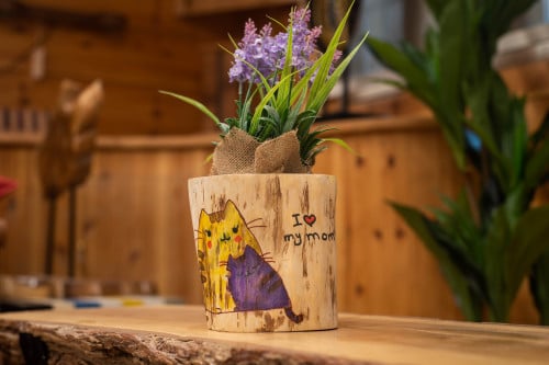 جذع رسمة القطة