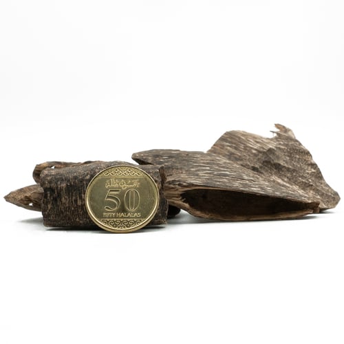 عود فيتنامي