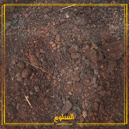 بودرة مسك الغزال