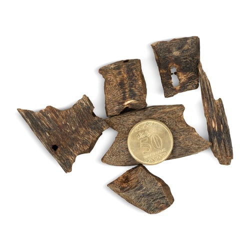 عود كينام صيني (1181)