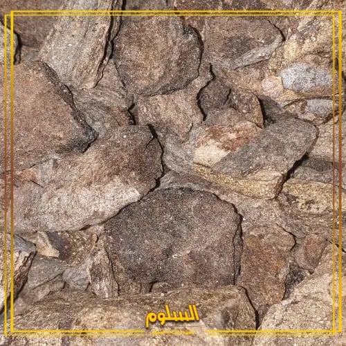 عنبر حوت