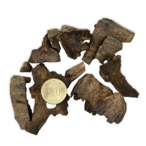 عود كينام زوايا (1178)