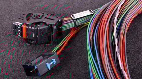ضفيرة مكسس اي سي يو سبورت MaxxECU SPORT harness