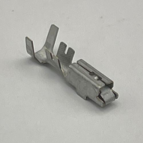 بنات أفياش جي ام و شفر ودلفي (بدون لسان) MP280