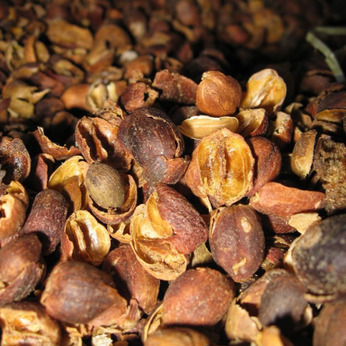 قشر القهوة (250 جرام)