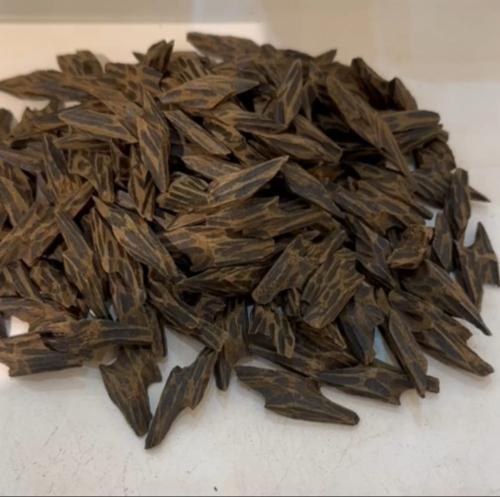 Tajer Oud