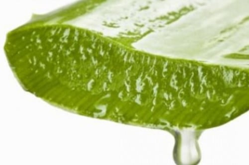 جل الصبار الطبيعي